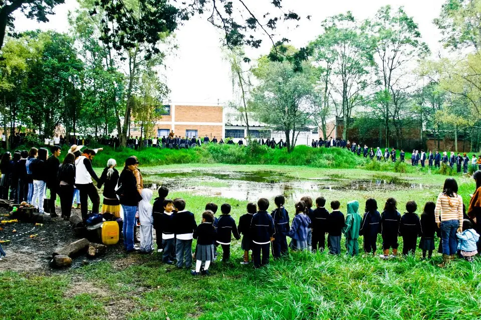 Canto al Agua · Mamá Dominga · 2014