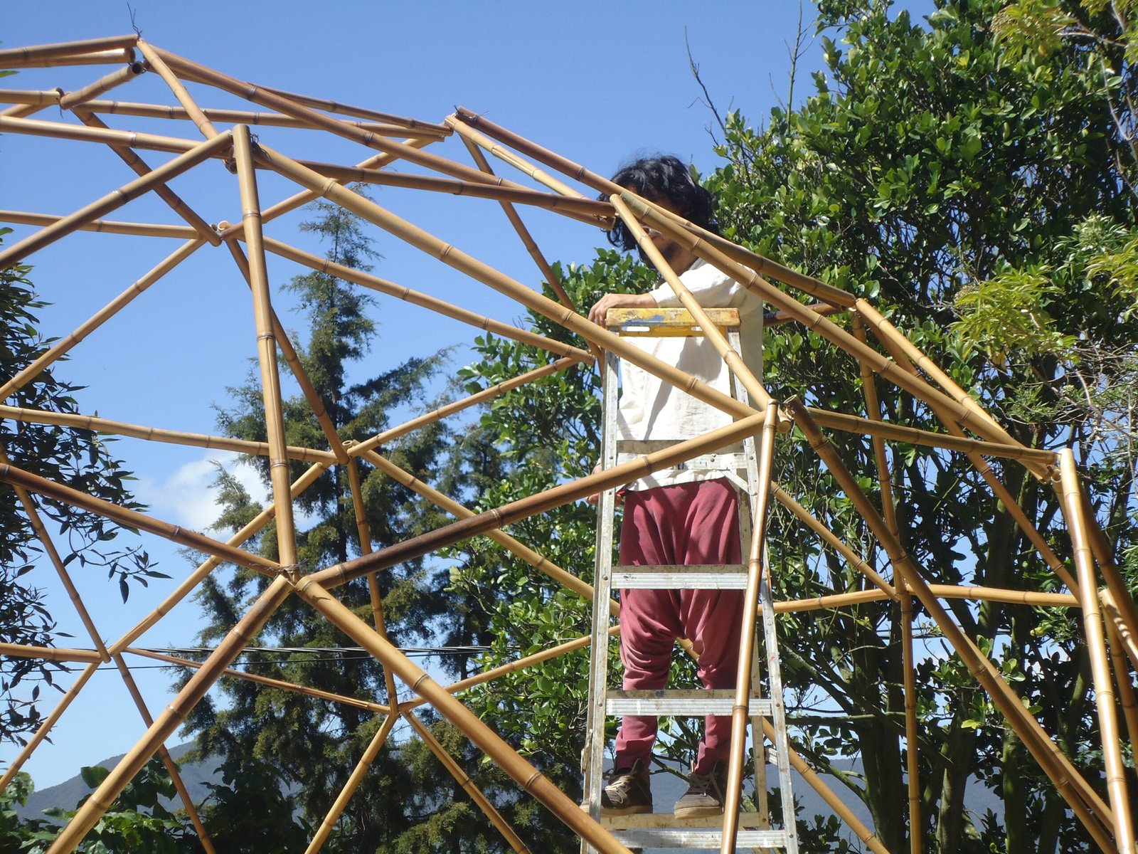 Estructura en proceso