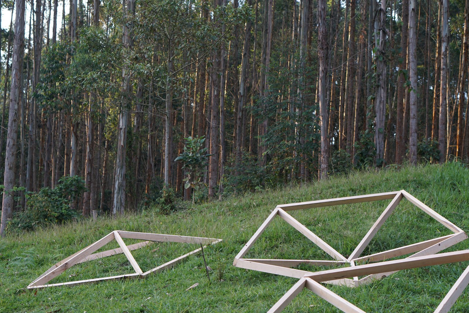 Las piezas tomando forma frente al bosque · Pachacue 2020