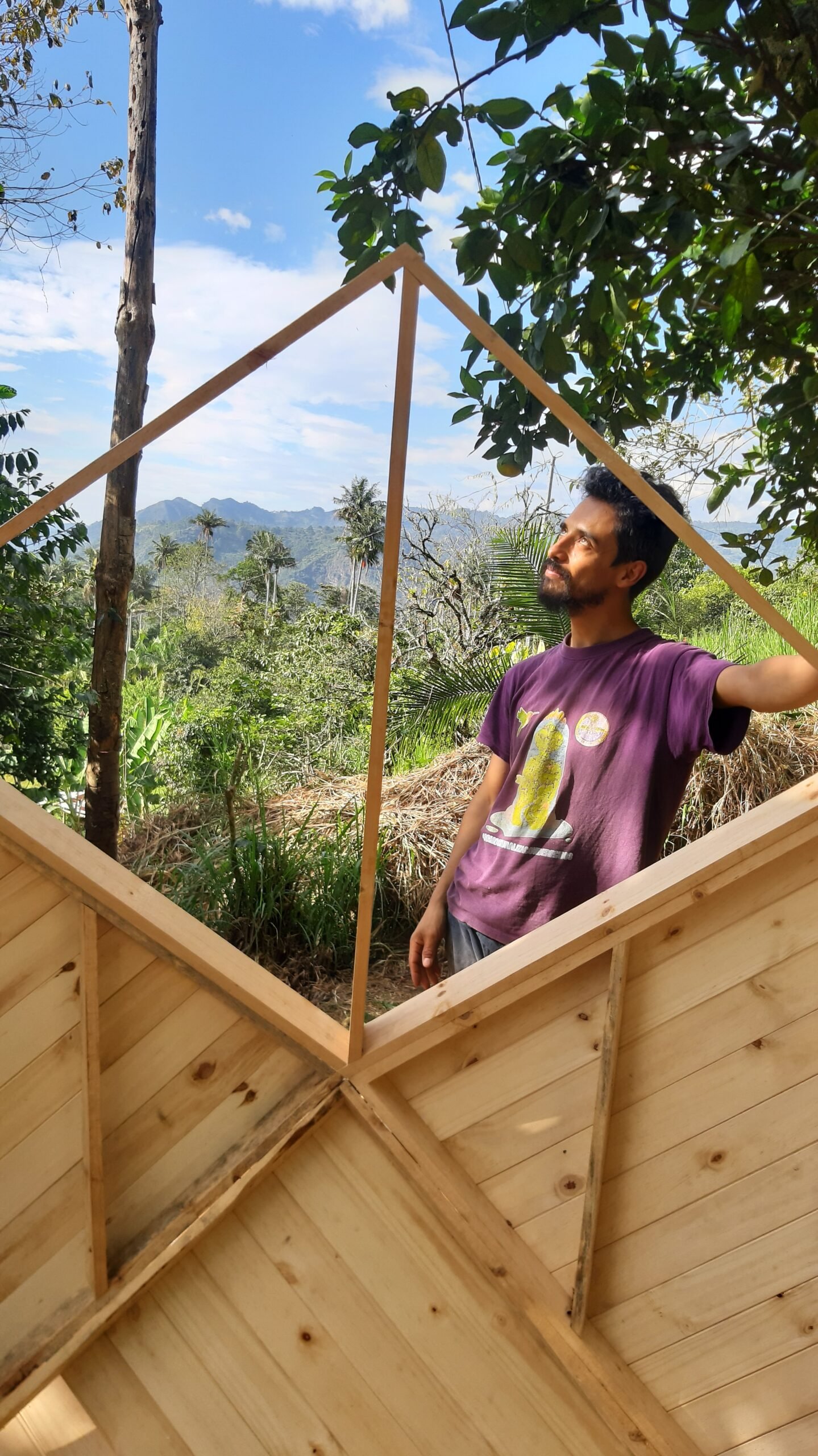 Ventana del zome en proceso