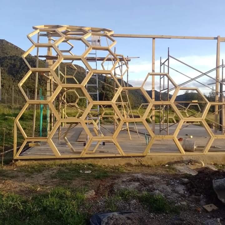 Estructura de hexágonos en proceso