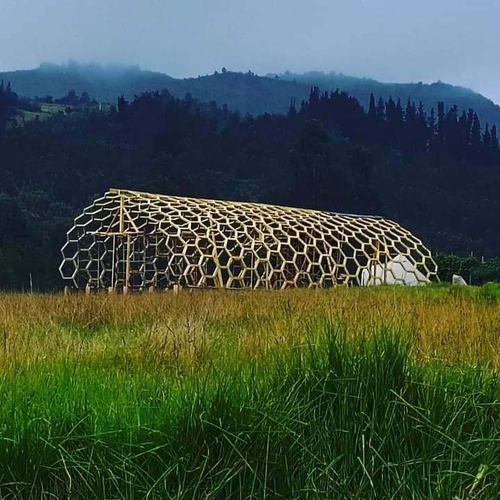 Estructura desnuda vista desde lejos