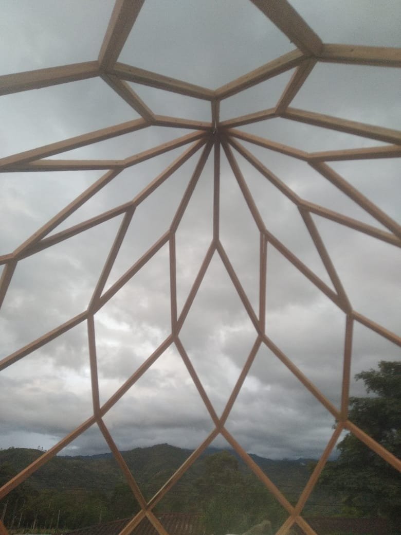 Flor de la cúspide vista desde el interior del zome