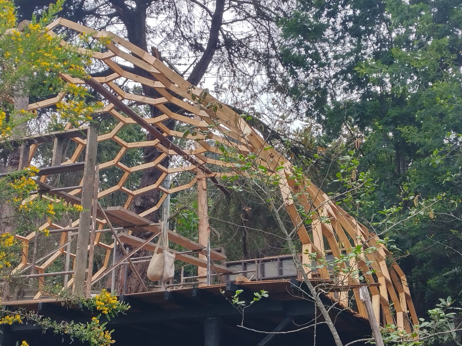 Estructura casi completa