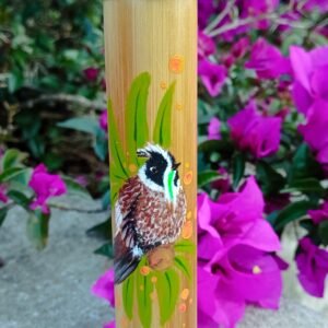Estuches personalizados: Colección Colibrí
